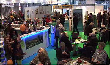 Holiday Messe